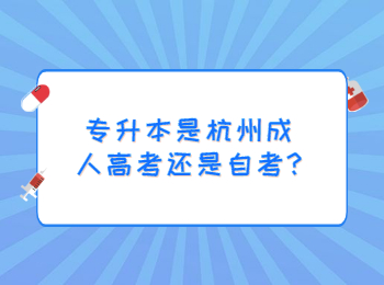 專升本是杭州成人高考還是自考?